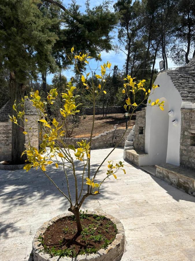 洛科罗通多Il Trullo Di Simona住宿加早餐旅馆 外观 照片