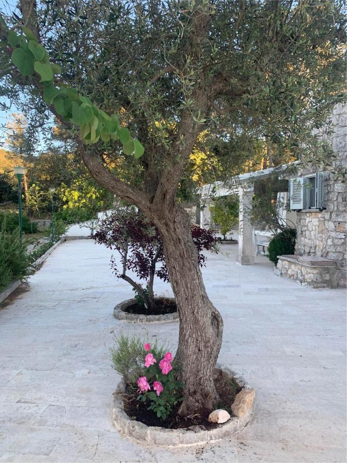 洛科罗通多Il Trullo Di Simona住宿加早餐旅馆 外观 照片