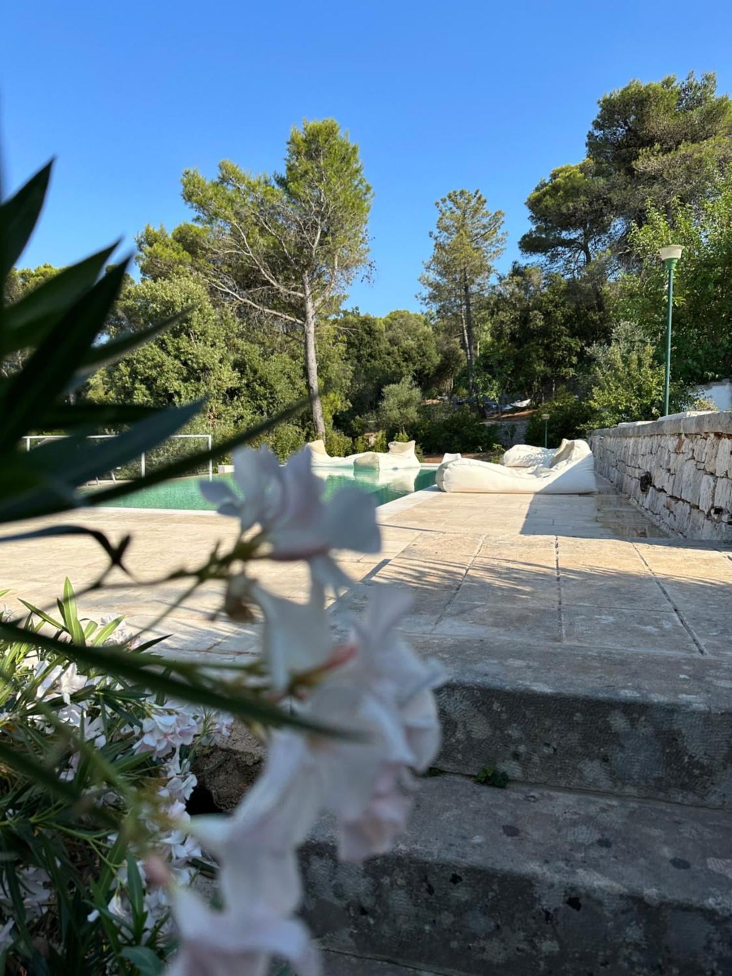 洛科罗通多Il Trullo Di Simona住宿加早餐旅馆 外观 照片