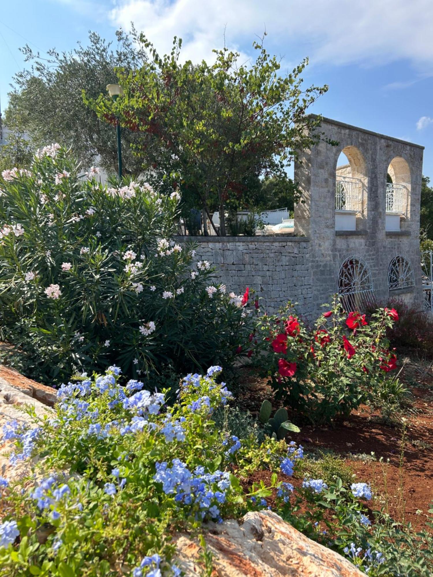 洛科罗通多Il Trullo Di Simona住宿加早餐旅馆 外观 照片